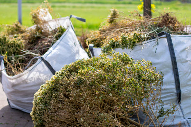 Best Basement Cleanout Services  in Humboldt Hill, CA